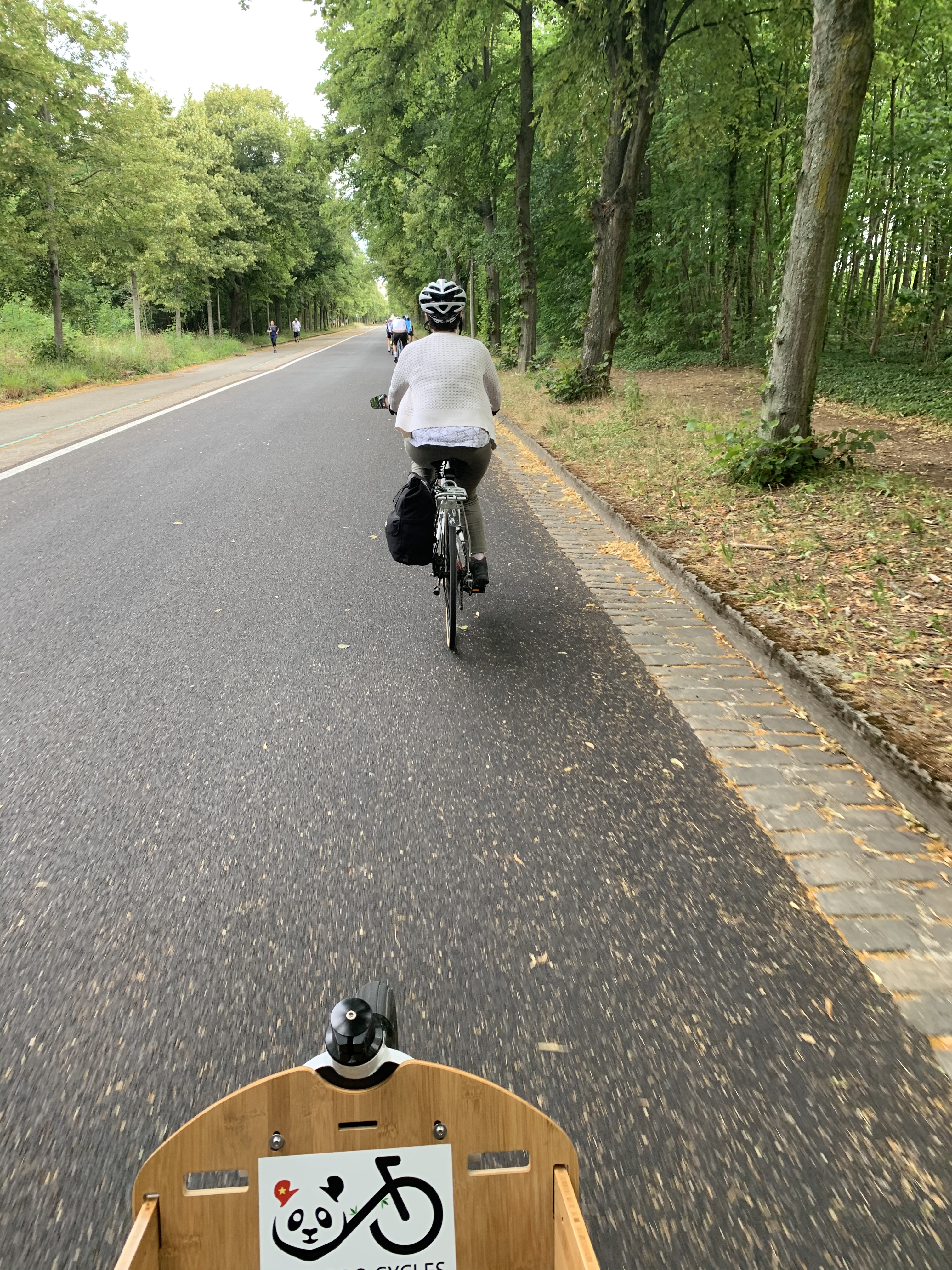 FD7974D3-DF44-4EB6-9832-1E2238BAC182