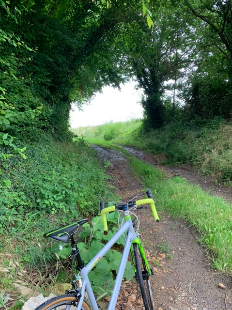 D323AAA0-F833-4BCA-B6CE-C2310A473EE9